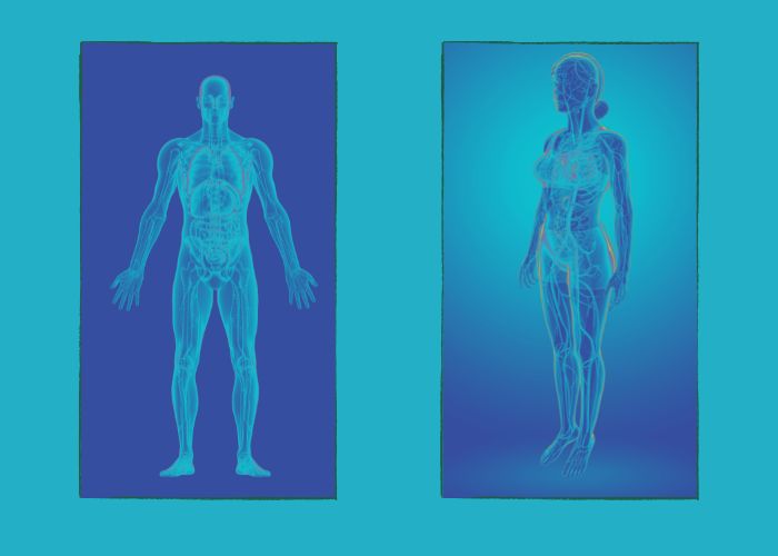 Biorezonancia állapotfelmérés és kezelés