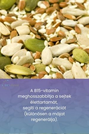B15-vitamin tartalmú magvak és szöveg