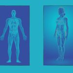 biorezonancia vizsgálat eredményező jelképező fotó férfi és női testről