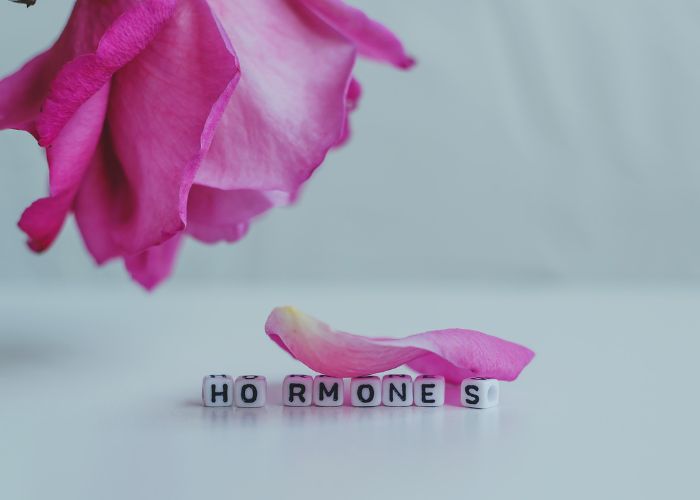 rózsa és kockákból kirakott hormones felirat