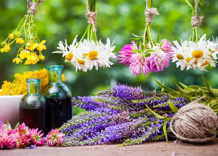 színes virágos gyógynövények és gyógynövény kivonatok üvegben